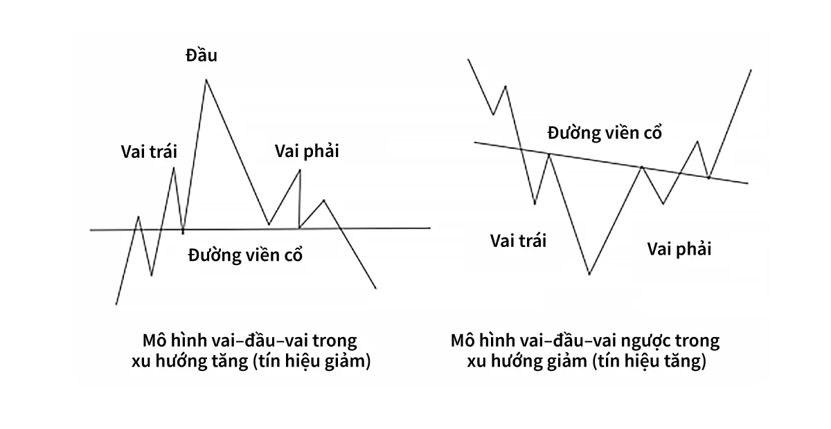Head-and-shoulder_VN