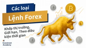 VN-Types-of-Forex-Orders-Market,-Limit,-and-Time-in-Force-orders
